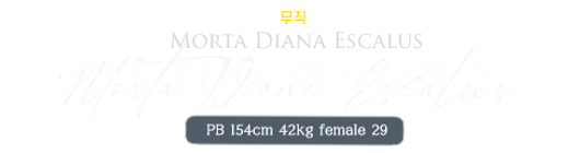 모르타.png