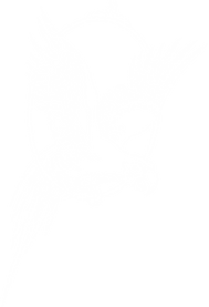 45645645645_edited.png