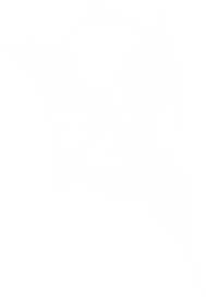 45645645645.png
