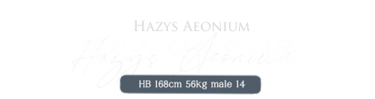 헤지스 아이오니움.png