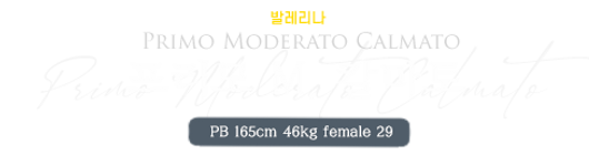 프리모.png