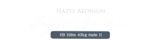 헤지스 아이오니움.png