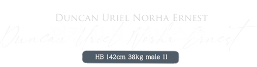 던컨.png
