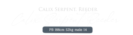 칼릭스 S. 리더.png