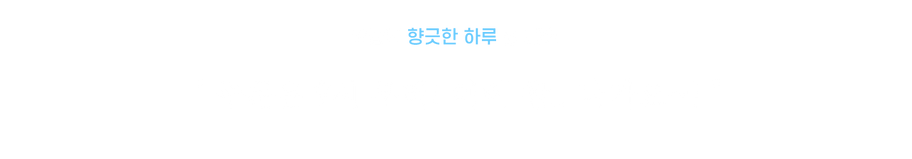 신디.png