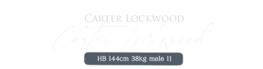 카터 록우드.png