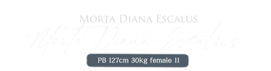 모르타 D. 에스칼루스.png