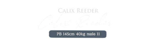 칼릭스 리더.png