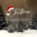 merry christmas 2023 solvita photography photo shoots