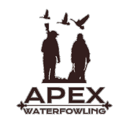 Duck bird hunting packages — APEX Waterfowling Inc. – APEX Waterfowling Inc.