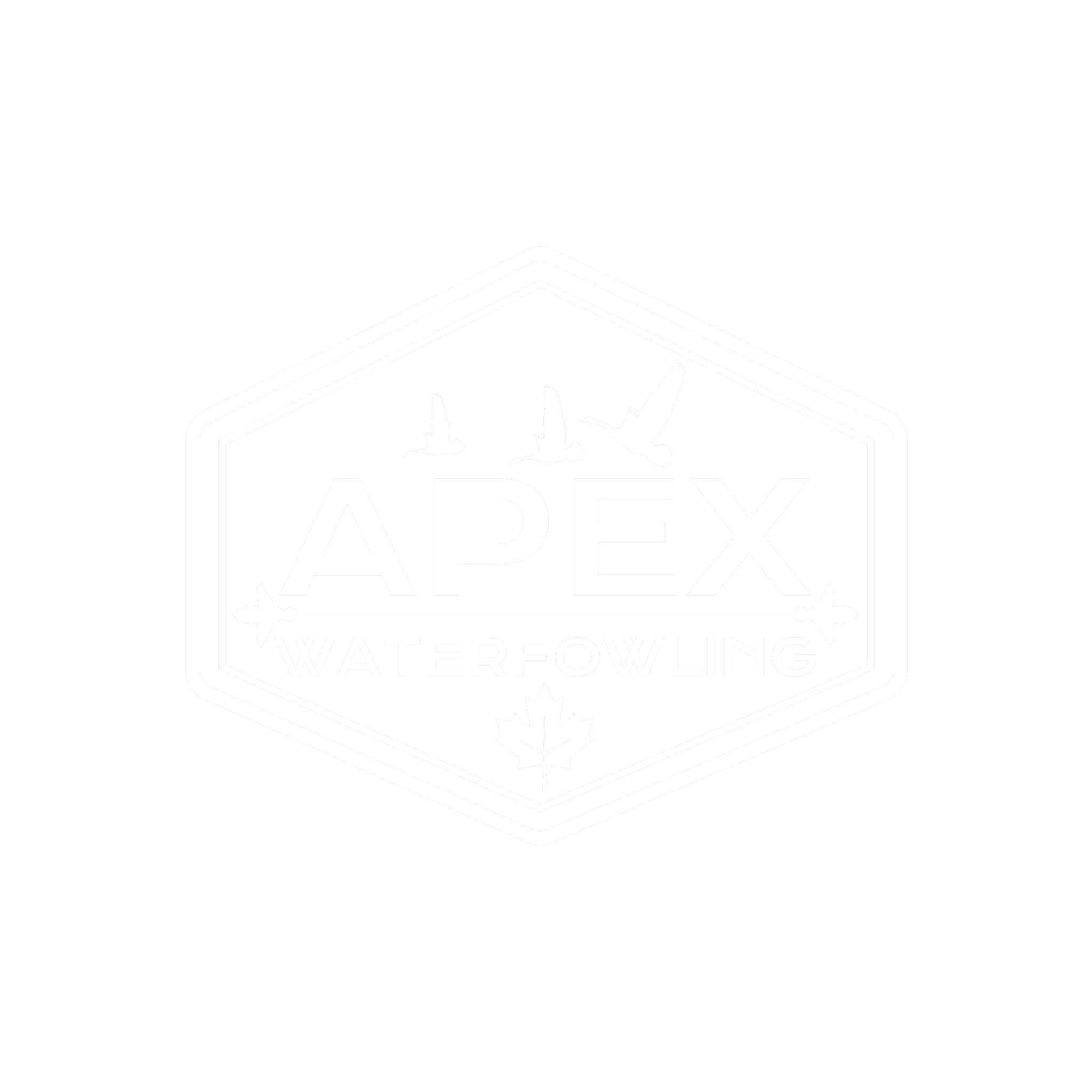 Duck bird hunting packages — APEX Waterfowling Inc. – APEX Waterfowling Inc.