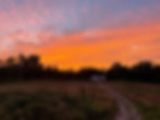 sunset over field