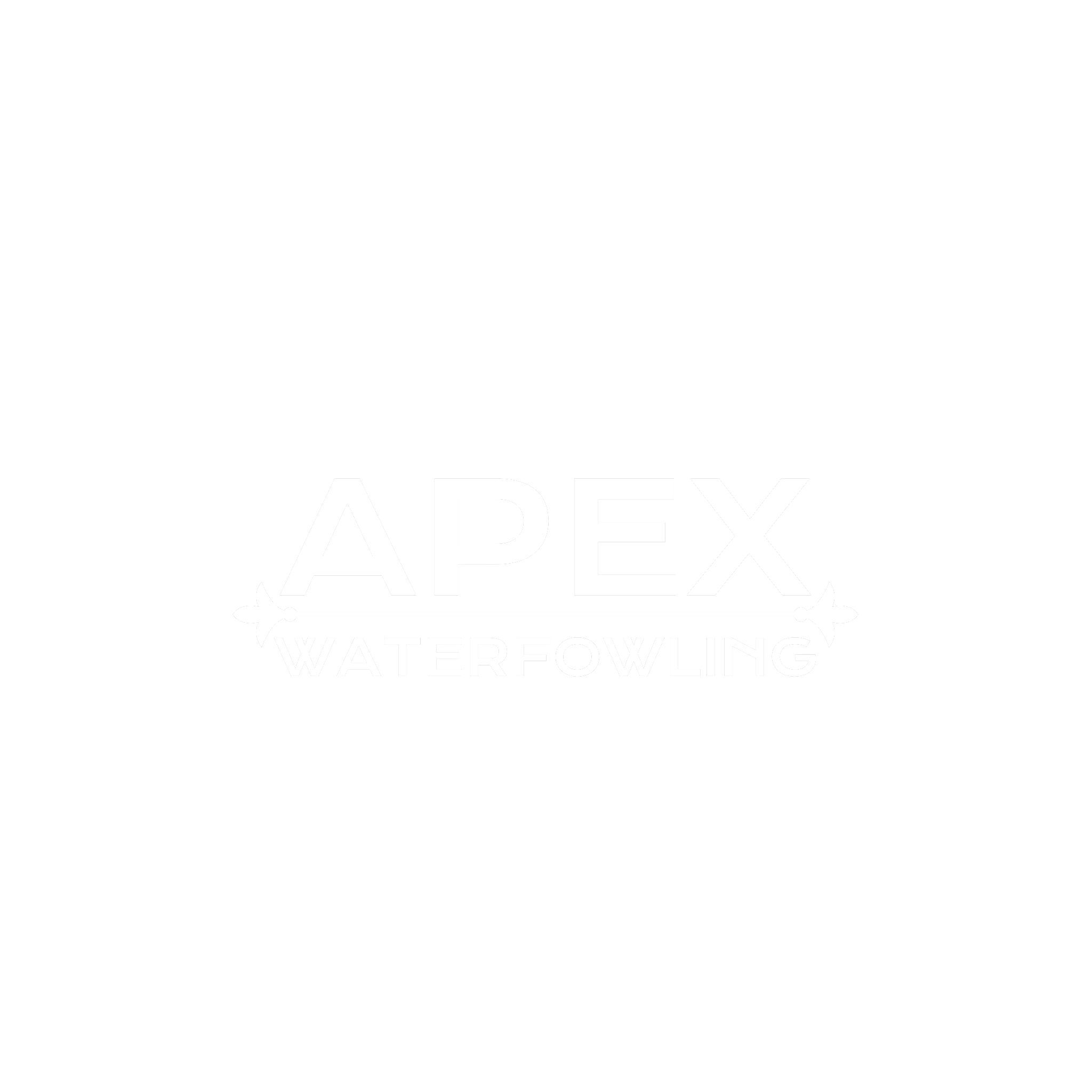 apex half logo.png