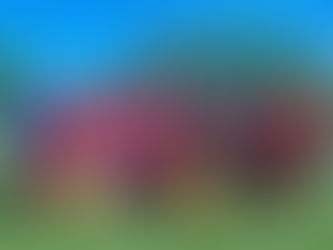 Breve história da criação dos times de futebol LGBTQIAPN+ mineiros