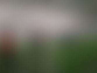 Futebol de cegas e a luta pela igualdade de gênero