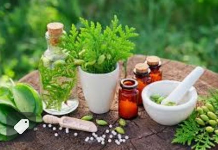 PAIN SOLUTION Is Here!!! "Zen For Pain" Healing Liniment