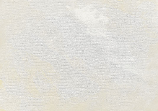 canvas-background-with-paint-texture.jpg