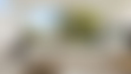 Designing luxury homes for Western Australia’s climate