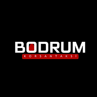 Kırmızı Modern Otomotiv Logo.png