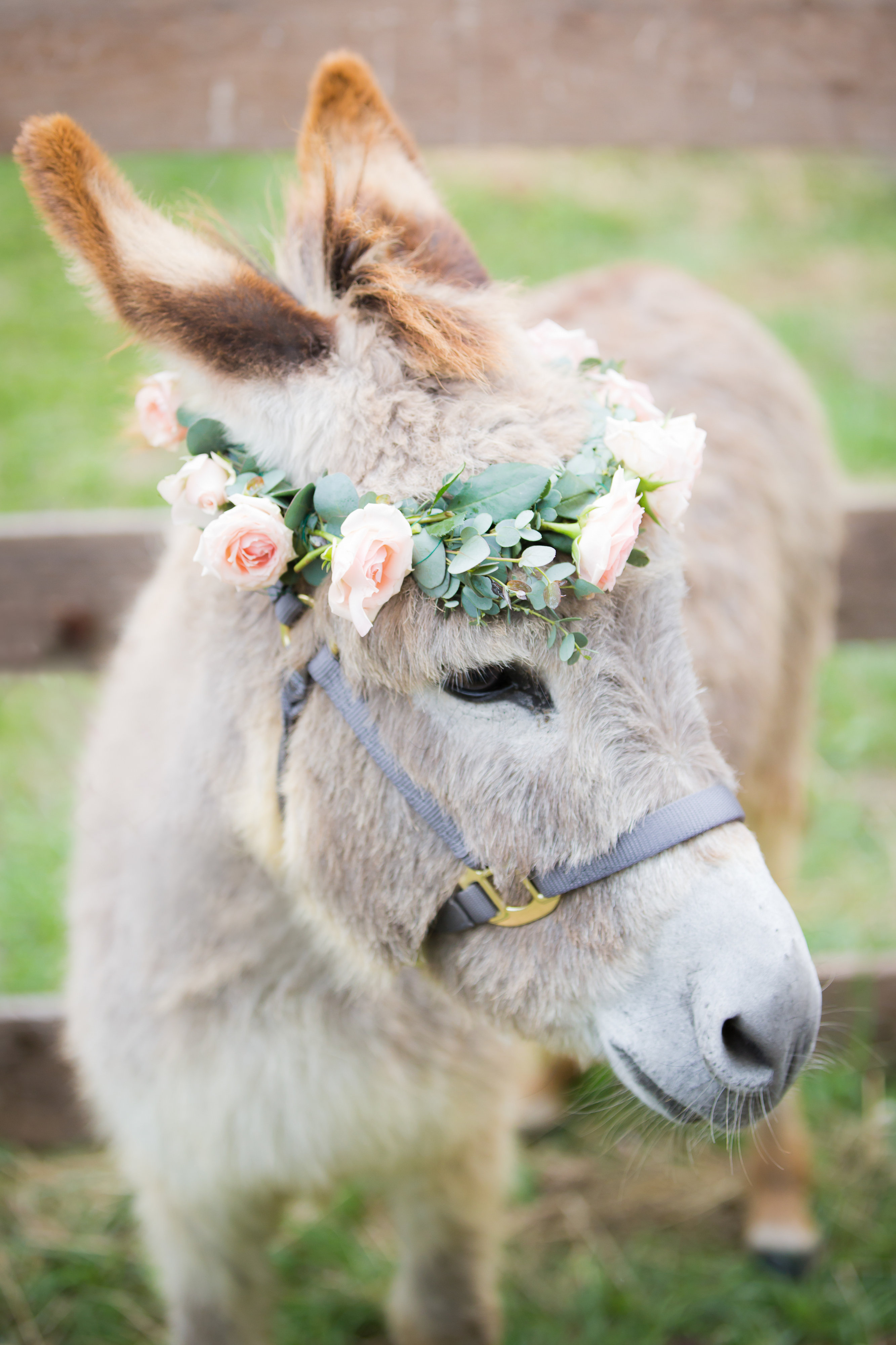 Most Creative Use of Floral