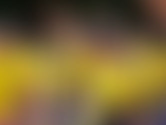 O que a Secretaria Municipal de Esportes e Lazer de São Paulo representa para os idosos?