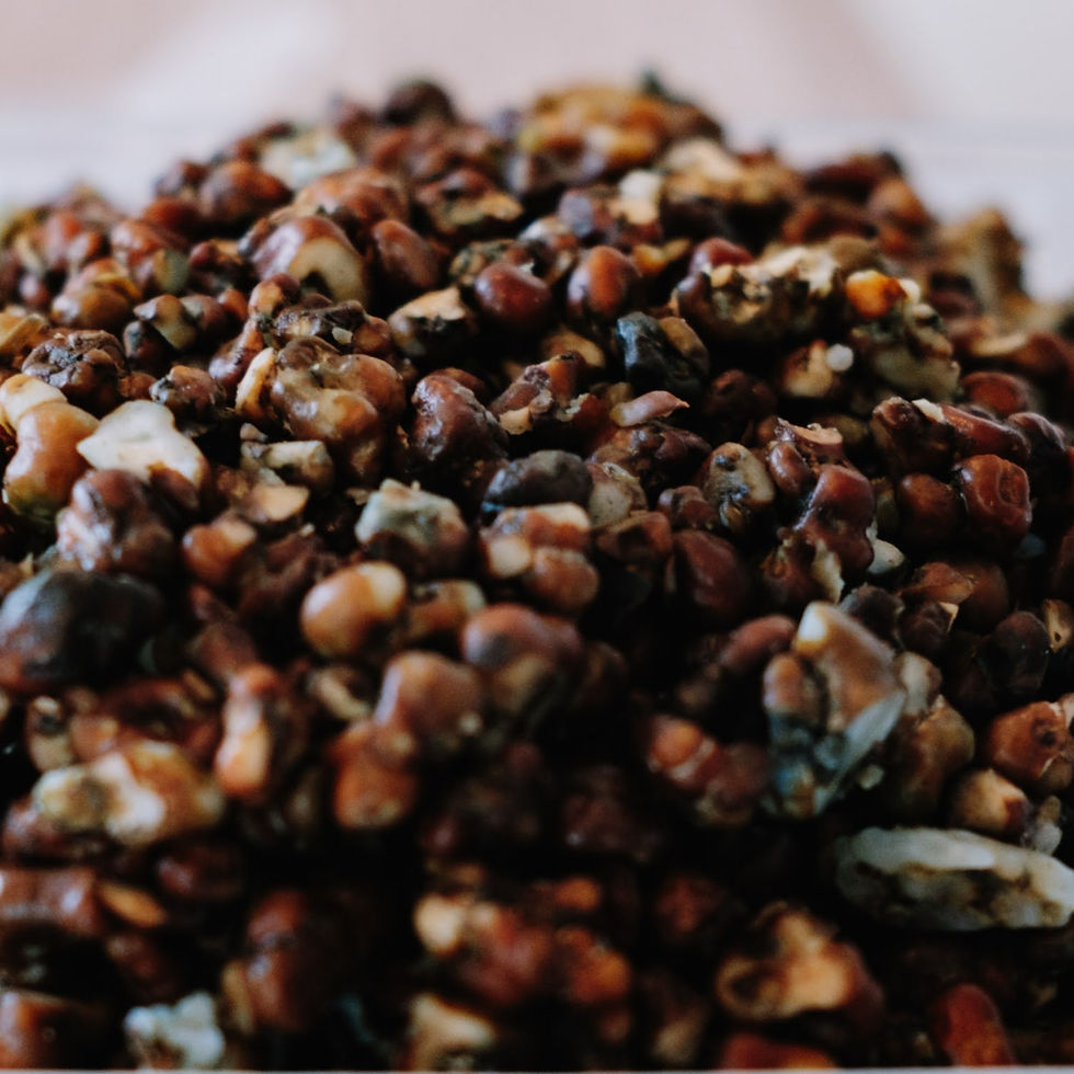 the Difference Between Magic Truffles and Magic Mushrooms