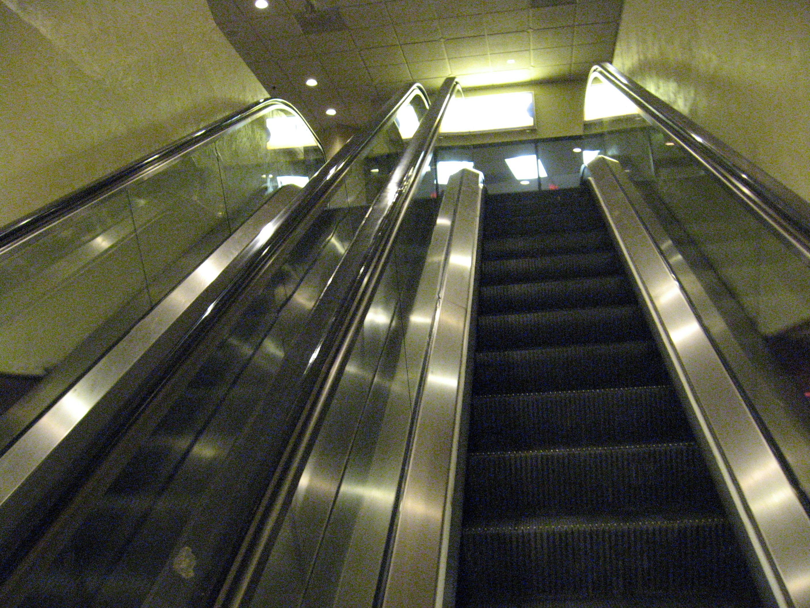 221.JPG