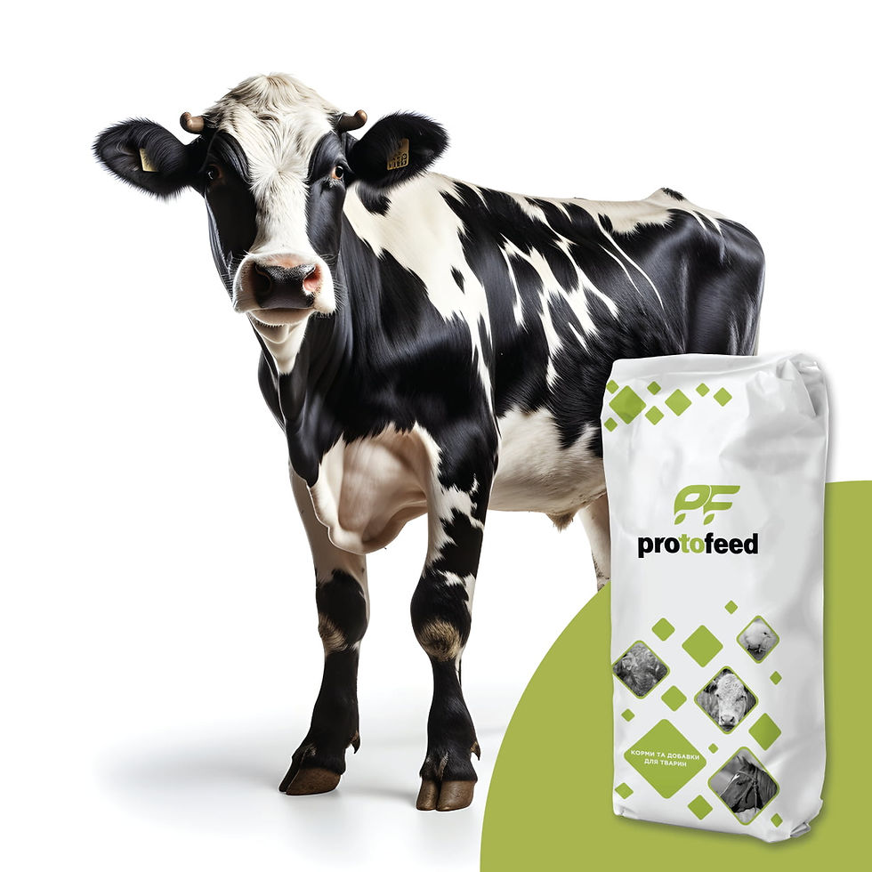 БВМД 10% для дійних корів