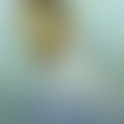 7 Movies Every Art Lover Should Watch - Artzo's Flick Picks