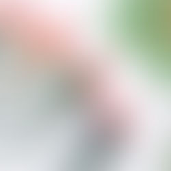 The Magic of Holbein Acrylic Gouache: A Comprehensive Guide