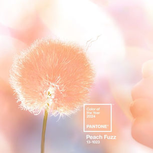 Exploring Pantone's Color of the Year - Peach Fuzz | Simple steps to re-create Peach Fuzz using acrylics, oils and watercolour paints.