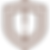 shield (1).png