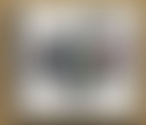 Witt'cha Gonna Do, Honky?