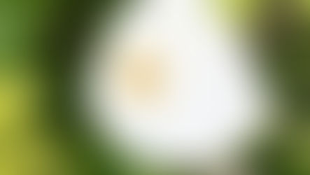 May 23, 2021 - Pentecost Sunday