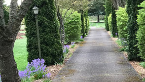 November 14, 2021 - 33rd Sunday in Ordinary Time