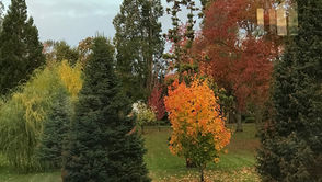 October 24, 2021 - 30th Sunday in Ordinary Time
