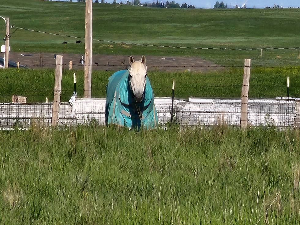 20230528_075659.jpg