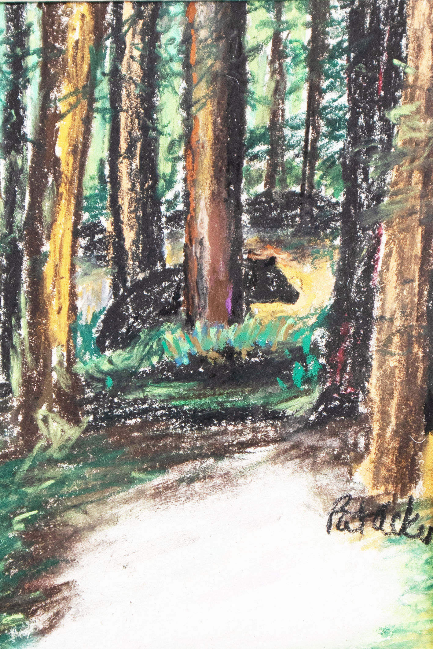 111 Bear in the Woods *