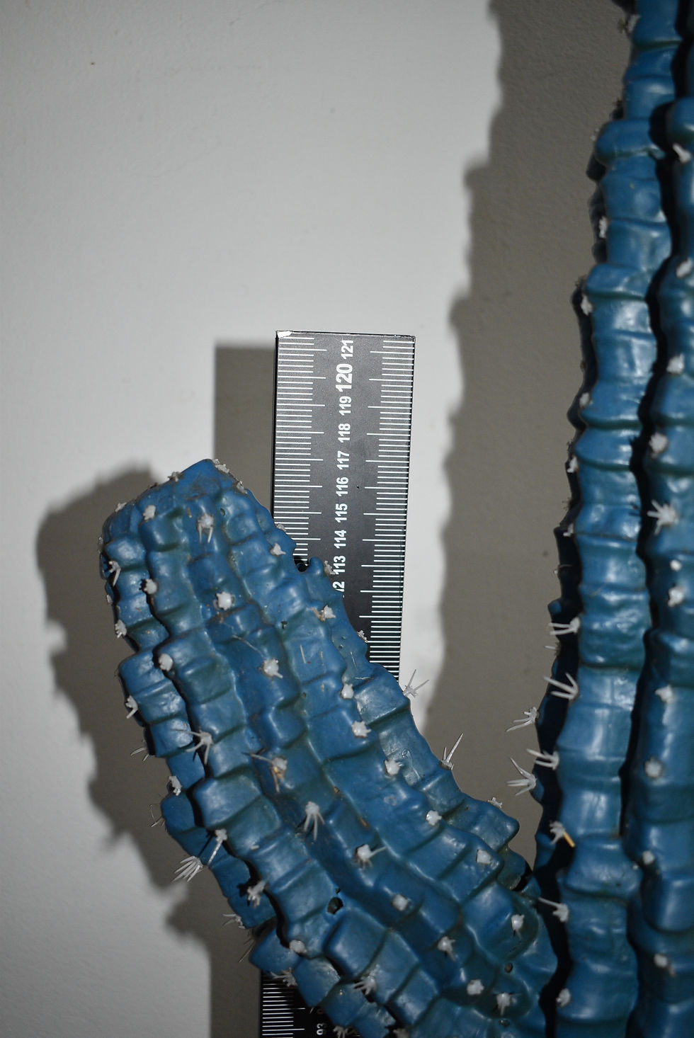 Miniature : Plante. Cactus en plastique N°03