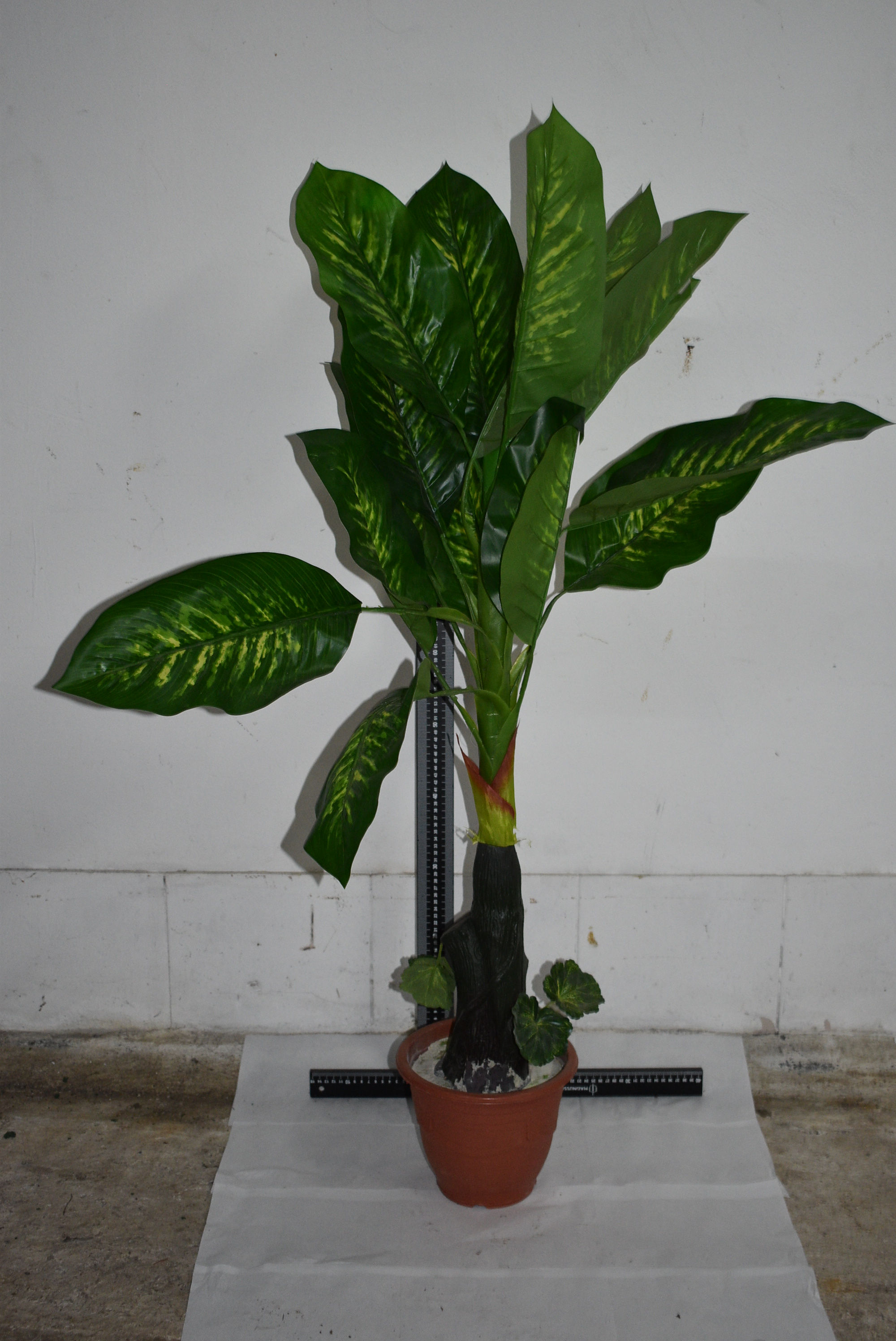 Plante. Bananier en plastique