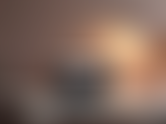 Maximiza Tu Presencia Online con Nuestro Portal Profesional