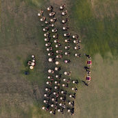 Taiko Life Top Drumming IG.jpg