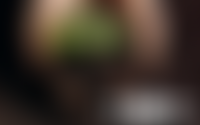 2nd workshop of the Soil Quality Indicators in Life Cycle Assessment Consensus Group