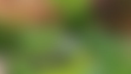 Surgeon General's Advisory