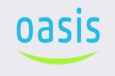 Ремонт газовых колонок OASIS Оазис
