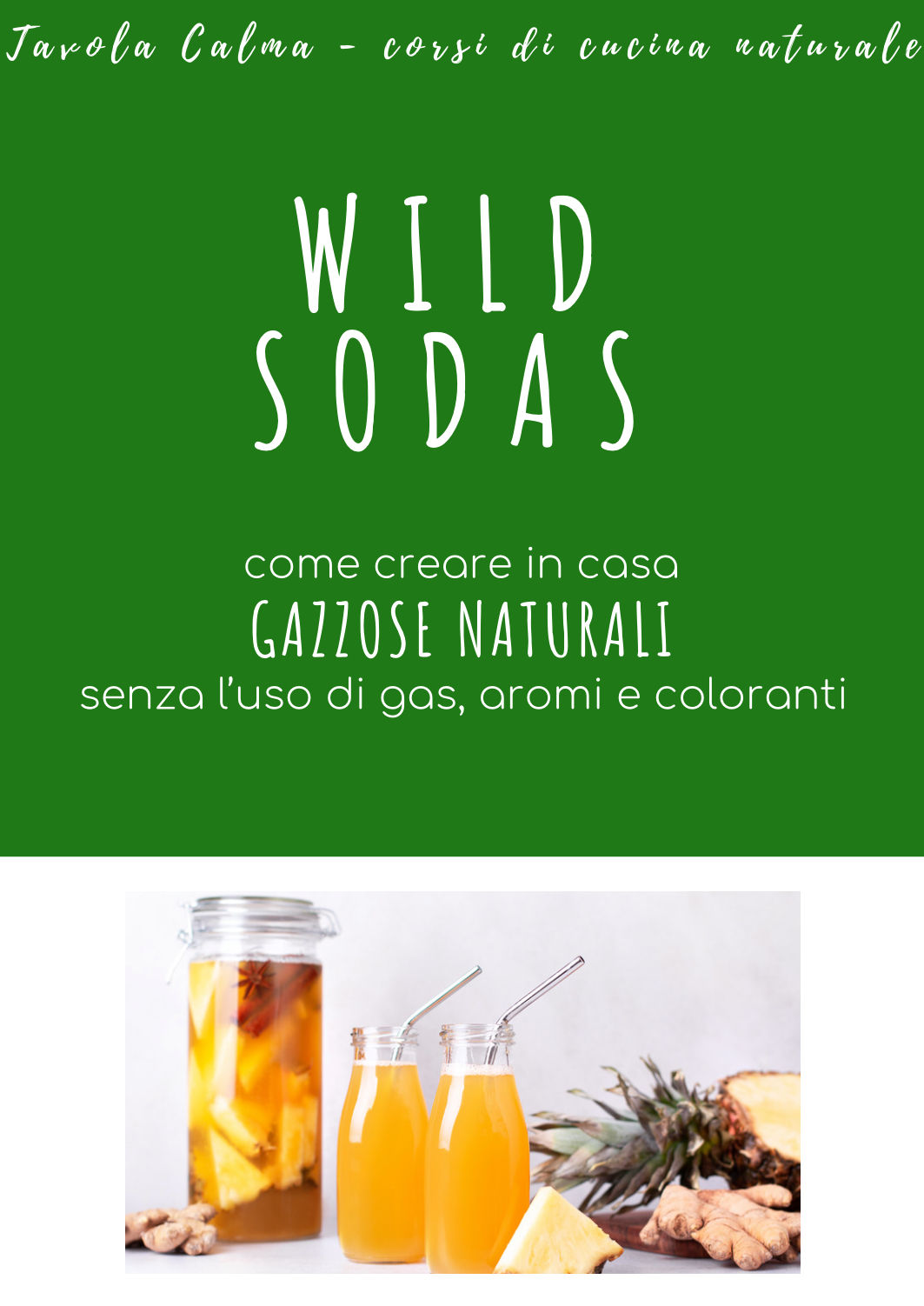 wild sodas gazzose a fermentazione spontanea
