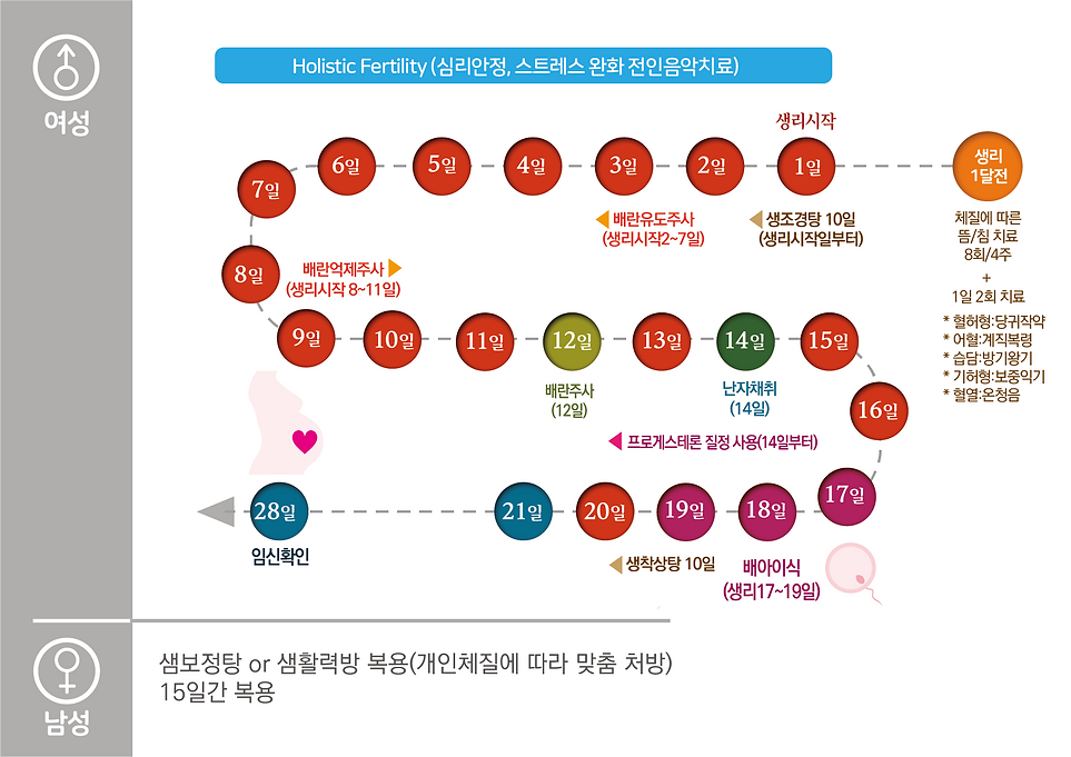 시험관 아기(장기요법).png