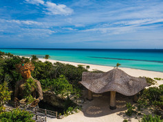health-travel-luxury-wellness-retreats-mexico-palmaia-mushroom.jpeg