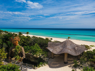 health-travel-luxury-wellness-retreats-mexico-palmaia-mushroom.jpeg