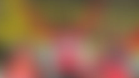 Introduire un système de kermesses en France.